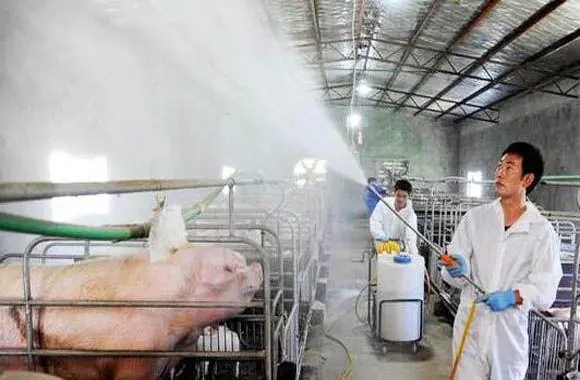 关于猪场消毒的方法